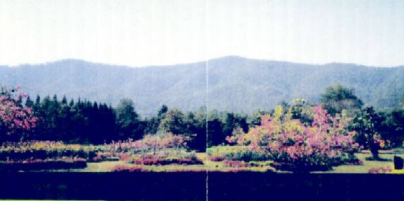 [写真]山脈を遠景に中心付近の庭園