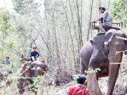 [写真]山道で出会った象と象使い