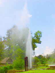 [写真]豪快に噴き上げる温泉