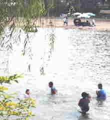 [写真]川辺で遊ぶ元気な子供たち
